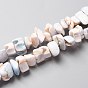 Natural Freshwater Shell Beads Strands, Nuggets Chips