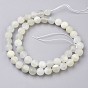 Natural White Moonstone Beads Strands, Frosted, Round