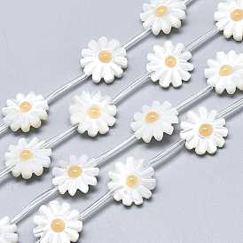 Натуральные белые ракушки из перламутровых ракушек, с эмалью, цветок