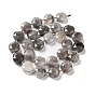 Natural Black Rutilated Quartz Beads Strands, with Seed Beads, Faceted Hexagonal Cut, Flat Round