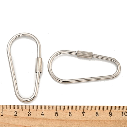 304 Stainless Steel Screw Carabiner Lock Charms, for Necklaces Making