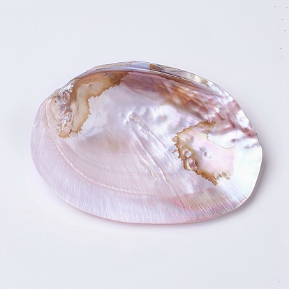 Natural Freshwater Pearl Shell Decoration