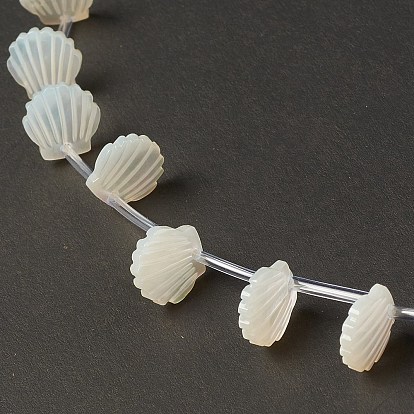 Natural White Shell Mother of Pearl Shell Beads, Top Drilled, Shell