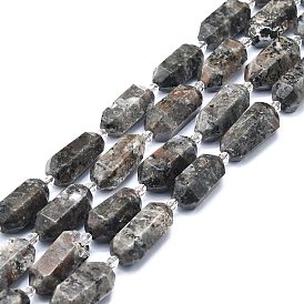 Natural Fluorescent Syenite Rock(Glow under UV Light) Beads Strands, Faceted, Double Terminated Pointed/Bullet