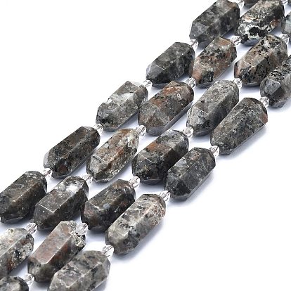 Natural Fluorescent Syenite Rock(Glow under UV Light) Beads Strands, Faceted, Double Terminated Pointed/Bullet