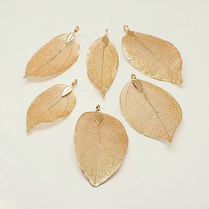 Natural Leaf Plating Brass Large Pendants, 50~95x20~60x0.6mm, Hole: 3.5mm