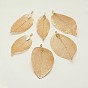 Natural Leaf Plating Brass Large Pendants, 50~95x20~60x0.6mm, Hole: 3.5mm