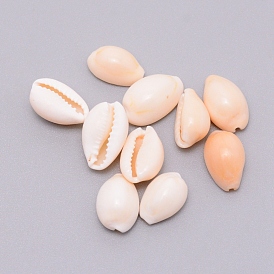 Cuentas de concha de cowrie natural, perlas sin perforar / sin orificios