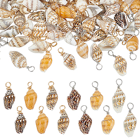 120шт. 2 цвета подвески из натуральных ракушек, Подвески в форме ракушек с петлями из медной проволоки