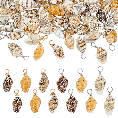 120шт. 2 цвета подвески из натуральных ракушек, Подвески в форме ракушек с петлями из медной проволоки