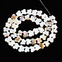 Natural Freshwater Shell Beads Strands, Butterfly