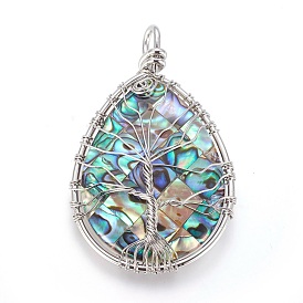 Abalone Shell/Paua Shell Wire Wrapped Big Pendants, with Brass Findings, Teardrop with Tree