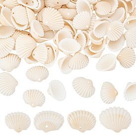 120 шт. подвески из натуральных ракушек