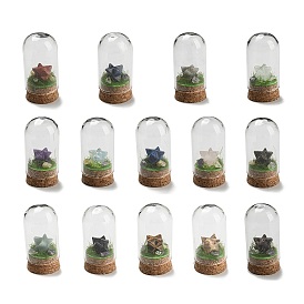 Gemstone Polygon Display Decoration with Glass Dome Cloche Cover, Cork Base Bell Jar Ornaments for Home Decoration