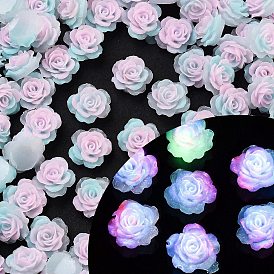 Luminous Resin Decoden Cabochons, Glow in the Dark, Flower