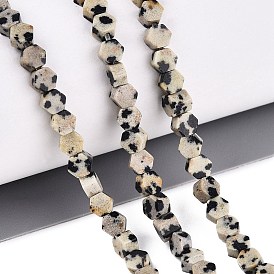 Natural Dalmatian Jasper Beads Strands, Hexagon