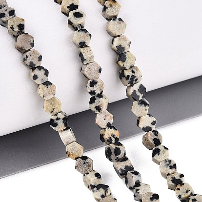 Natural Dalmatian Jasper Beads Strands, Hexagon