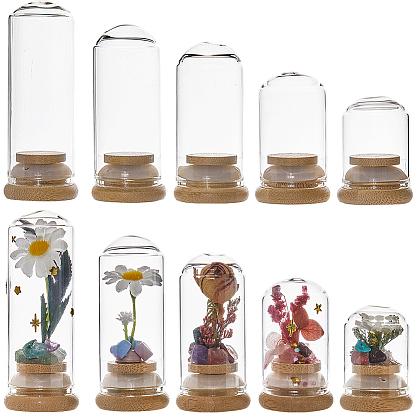 10шт 5 стили прозрачный стеклянный купол, декоративная витрина, террариум в форме колокольчика с бамбуковым основанием