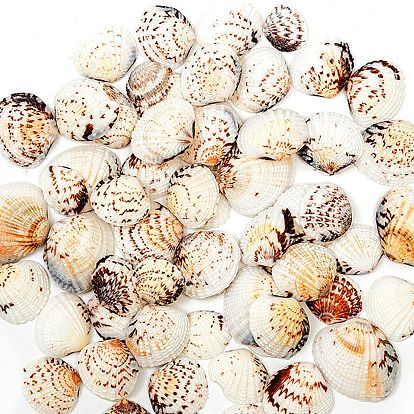 Natural Shell Beads, No Hole/Undrilled, Moss Micro Landscape Supplies