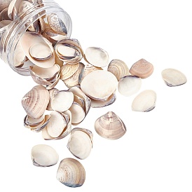 Clam Shell Beads, Undrilled/No Hole Beads