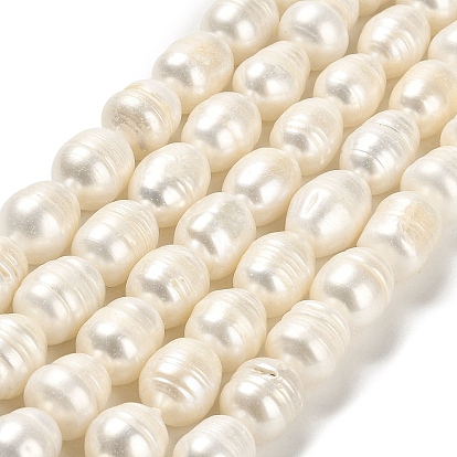 Natural Cultured Freshwater Pearl Beads Strands, Rice, Grade AB