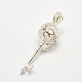 Латунные диффузор Locket подвески, подвески для клеток, ключ