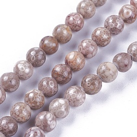 Natural Maifanite/Maifan Stone Beads Strands, Dyed, Round