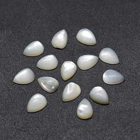 Cabochons coquille, goutte 