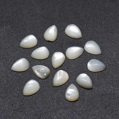 Cabochons coquille, goutte 