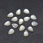 Cabochons coquille, goutte 