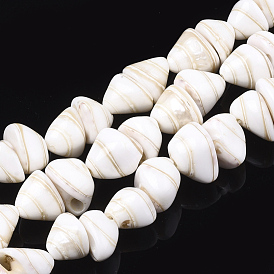 Spiral Shell Beads Strands, Cone