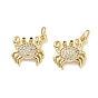 Латунные микро проложить кубического циркония подвески, без свинца и без кадмия, долговечный, стойки покрытие, крабовые прелести