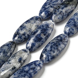 Perles de jaspe tache bleue naturelle, Ovale Plat