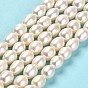 Natural Cultured Freshwater Pearl Beads Strands, Rice, Grade AAAAA