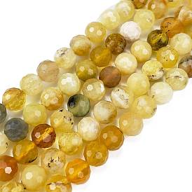 Natural Yellow Opal Beads Strands, Faceted, Round