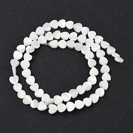 Natural Trochid Shell/Trochus Shell Beads Strands, Heart