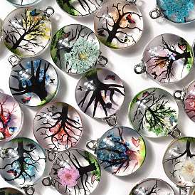 Transparent Glass Pendants, with Dried Flower inside, Half Round, Round