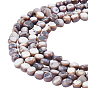 5 Strands Natural Freshwater Shell Beads Strands, Dyed, Nuggets