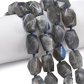 Природные лабрадорита бисер нитей, граненые, прямоугольные