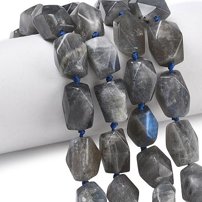 Природные лабрадорита бисер нитей, граненые, прямоугольные