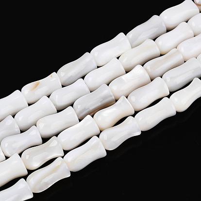 Естественных пресноводных оболочки бисер нитей, ваза