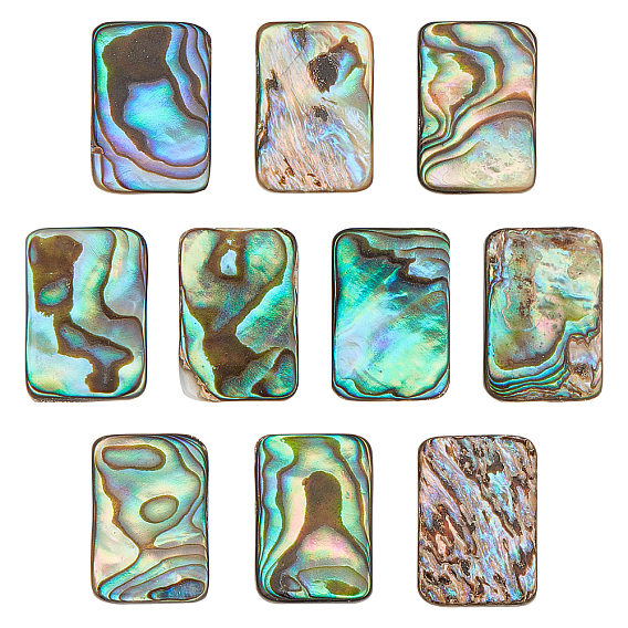 10 cabochons en coquillage d'ormeau naturel/coquillage paua, Avec coquille d'eau douce, rectangle