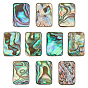 10 cabochons en coquillage d'ormeau naturel/coquillage paua, Avec coquille d'eau douce, rectangle