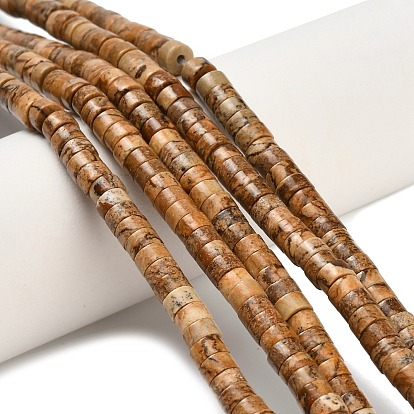 Естественного изображения яшмы бисер нитей, диск, Heishi бусы