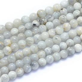 Natural Grey Moonstone Beads Strands, Round