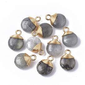 Natural Gemstone Pendants, with Golden Tone Brass Wires and Iron Loops, Half Drilled, Flat Round
