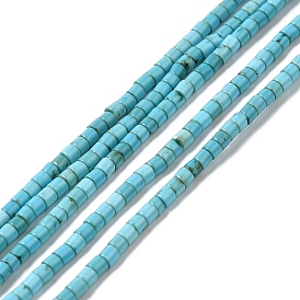 Synthetic Turquoise Beads Strands, Dyed, Column