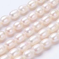 Linen Natural Cultured Freshwater Pearl Beads Strands, Rice, Linen, 10~11x7~8mm, Hole: 0.5mm, about 38~39pcs/strand, 14.5 inch