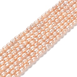 PeachPuff Natural Cultured Freshwater Pearl Beads Strands, Rice, Grade A+, PeachPuff, 3~3.5x4.5~5.5mm, Hole: 0.5mm, about 70~71pcs/strand, 13.78''(35cm)