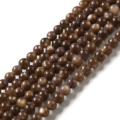 Coconut Brown Natural Freshwater Shell Beads Strands, Round, Dyed, Coconut Brown, 3mm, Hole: 0.5mm, about 124~132pcs/strand, 14.96''(38cm)